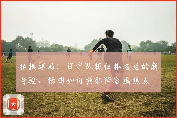 轮换迷局:辽宁队稳住排名后的新考验,杨鸣如何调配阵容成焦点 - 7m比分推荐