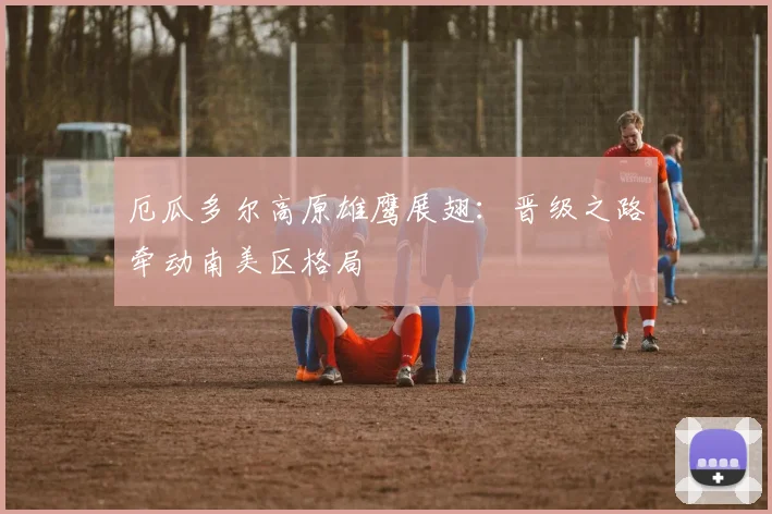 厄瓜多尔高原雄鹰展翅：晋级之路牵动南美区格局 - 7m比分推荐