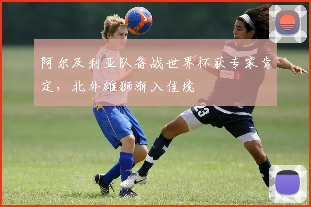 阿尔及利亚队备战世界杯获专家肯定，北非雄狮渐入佳境 - 7m比分推荐