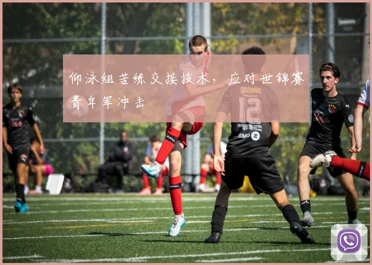 仰泳组苦练交接技术，应对世锦赛青年军冲击 - 7m比分资讯